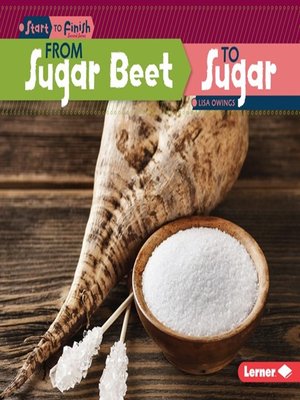 cover image of From Sugar Beet to Sugar